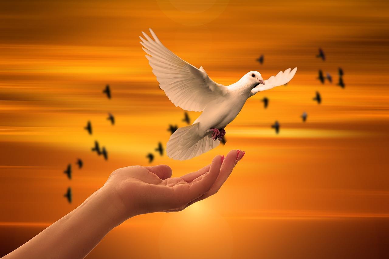Céline Perron
